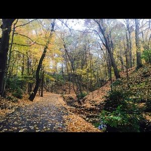 Meet your Posher, Cezanne